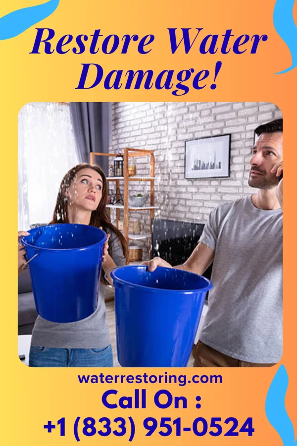 water restoration Zenith Sewage Cleanup Authority Buffalo